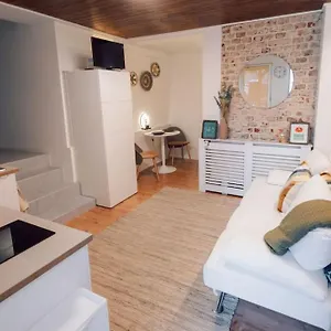13 Loft Mit Terrasse Teublitz